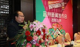 宜州凌丹丹新闻爆料,揭秘凌丹丹背后惊人真相
