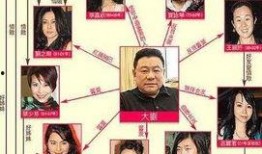 刘銮雄天涯爆料视频,豪门恩怨背后的惊人真相