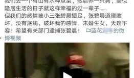 吃瓜娱乐营销号是什么,揭秘网络娱乐背后的秘密