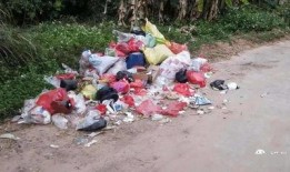 郑州甘蔗爆料事件始末最新消息,真相与争议交织的食品安全风波