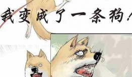 偏心吃瓜小说免费阅读,揭秘小说世界中的免费阅读奥秘