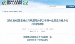 正定新闻爆料电话查询网,实时掌握本地资讯动态
