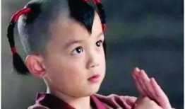 武哥爆料小翠视频大全,小翠视频大全背后的精彩故事