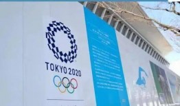 国际泳联最新爆料,揭秘游泳界重大事件与幕后真相