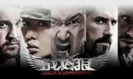 战狼电影在线观看影片,热血征途，铁血豪情