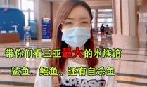 网友王小姐爆料视频大全,揭秘网络热点背后的真相