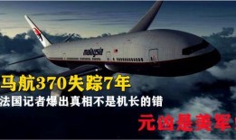 天涯网真实爆料马航视频,天涯网友曝光神秘视频揭示惊人真相