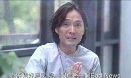 武哥爆料小翠视频大全,小翠视频大全背后的精彩故事