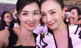 张婷爆料陶虹视频大全播放,全网热议背后的真相