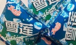 雪莲冰块爆料视频,揭秘冰块背后的惊人秘密