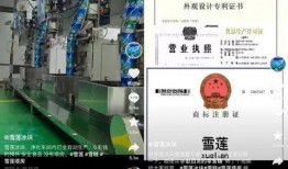 雪莲冰块爆料视频,揭秘冰块背后的惊人秘密