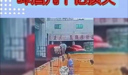 青岛啤酒视频爆料最新,探寻品牌背后的传奇故事