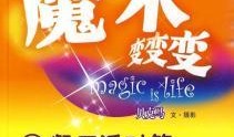 酒店派对最新爆料文案,独家爆料揭秘幕后精彩瞬间