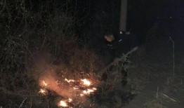 武安最新爆料事件