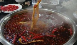 爆料火锅食材有哪些呢视频,视频爆料中的美味清单