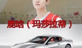 鹿晗跑车爆料视频在线观看,速度与激情的视觉盛宴