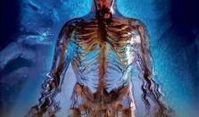 融尸荡魄在线观看56,惊悚悬疑，在线观看56集，揭秘生死谜团