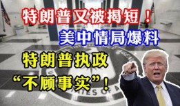 cia最新爆料网址,揭秘神秘网络事件背后的真相