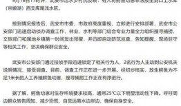 武安最新爆料事件