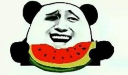 娱乐吃瓜酱靠什么赚钱的,揭秘其独特赚钱之道